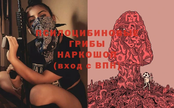 синтетический гашиш Алексин
