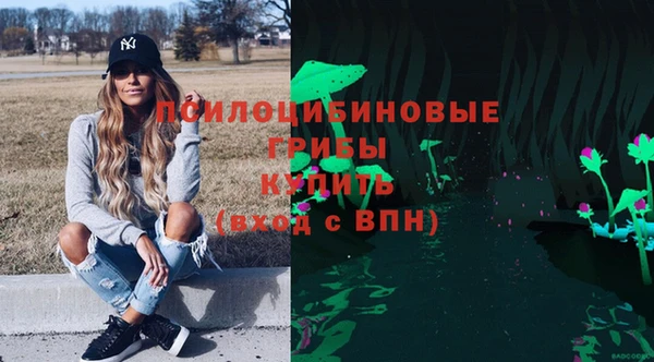 синтетический гашиш Алексин