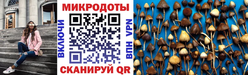 мориарти клад Славск Галлюциногенные грибы MAGIC MUSHROOMS магазин продажи гидра ССЫЛКА